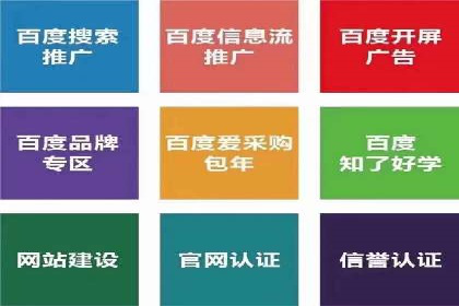 短视频平台上的信息流广告投放效果分析